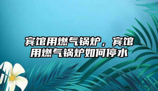 賓館用燃?xì)忮仩t，賓館用燃?xì)忮仩t如何停水