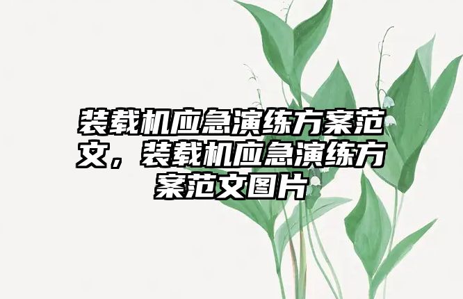 裝載機應(yīng)急演練方案范文，裝載機應(yīng)急演練方案范文圖片