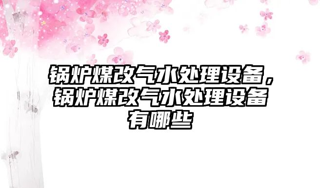 鍋爐煤改氣水處理設(shè)備，鍋爐煤改氣水處理設(shè)備有哪些