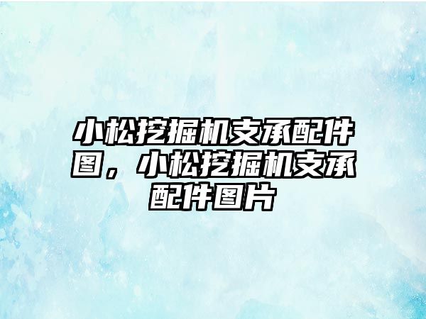 小松挖掘機支承配件圖，小松挖掘機支承配件圖片