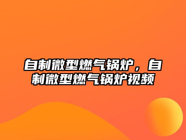 自制微型燃氣鍋爐，自制微型燃氣鍋爐視頻