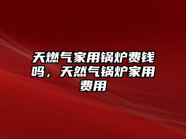 天燃?xì)饧矣缅仩t費(fèi)錢嗎，天然氣鍋爐家用費(fèi)用