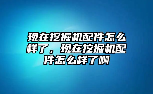 現(xiàn)在挖掘機配件怎么樣了，現(xiàn)在挖掘機配件怎么樣了啊