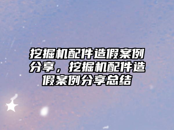 挖掘機配件造假案例分享，挖掘機配件造假案例分享總結(jié)