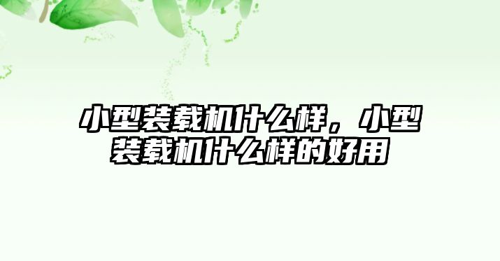 小型裝載機(jī)什么樣，小型裝載機(jī)什么樣的好用