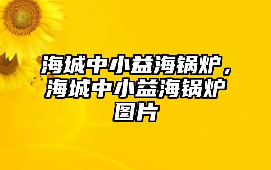 海城中小益海鍋爐，海城中小益海鍋爐圖片