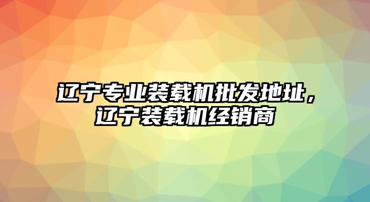 遼寧專業(yè)裝載機(jī)批發(fā)地址，遼寧裝載機(jī)經(jīng)銷商