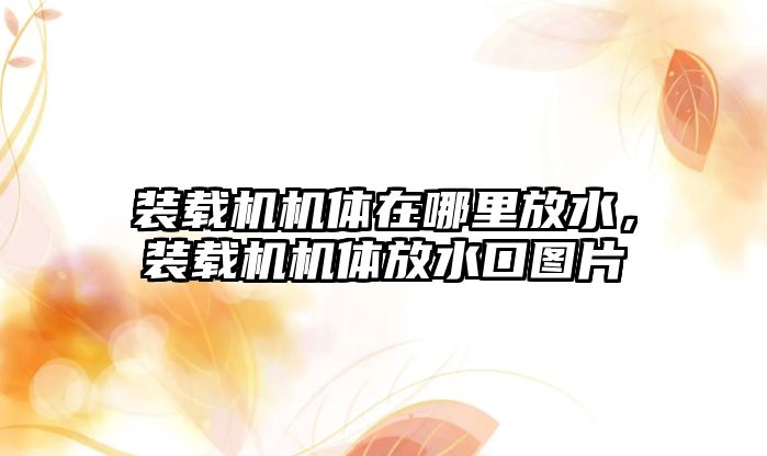 裝載機機體在哪里放水，裝載機機體放水口圖片