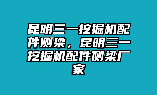 昆明三一挖掘機配件側梁，昆明三一挖掘機配件側梁廠家