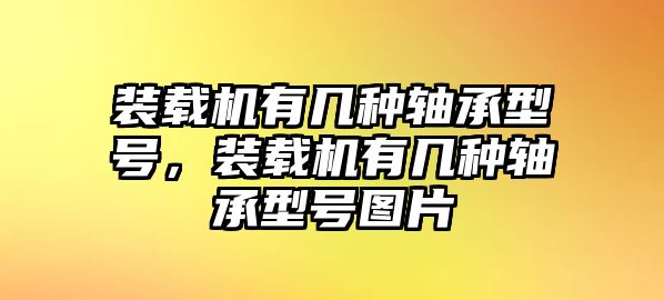 裝載機有幾種軸承型號，裝載機有幾種軸承型號圖片