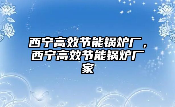 西寧高效節(jié)能鍋爐廠，西寧高效節(jié)能鍋爐廠家