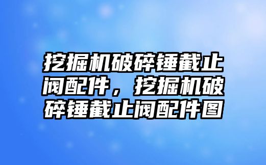 挖掘機(jī)破碎錘截止閥配件，挖掘機(jī)破碎錘截止閥配件圖