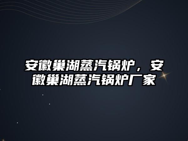 安徽巢湖蒸汽鍋爐，安徽巢湖蒸汽鍋爐廠家