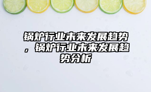 鍋爐行業(yè)未來發(fā)展趨勢，鍋爐行業(yè)未來發(fā)展趨勢分析