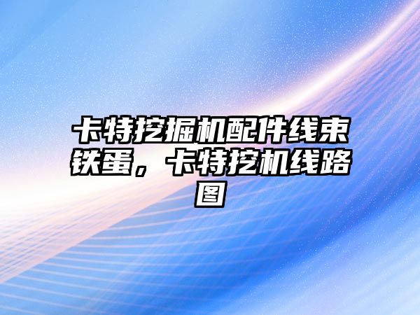 卡特挖掘機配件線束鐵蛋，卡特挖機線路圖