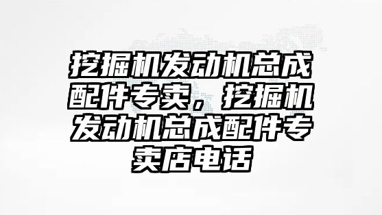 挖掘機(jī)發(fā)動(dòng)機(jī)總成配件專賣，挖掘機(jī)發(fā)動(dòng)機(jī)總成配件專賣店電話