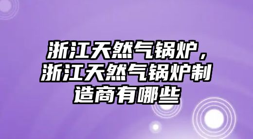 浙江天然氣鍋爐，浙江天然氣鍋爐制造商有哪些