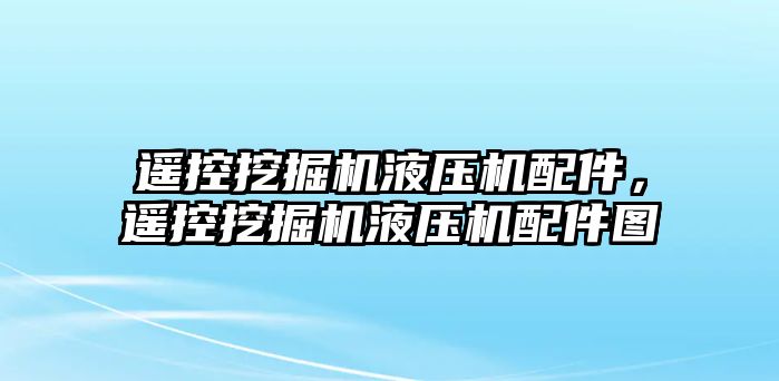 遙控挖掘機(jī)液壓機(jī)配件，遙控挖掘機(jī)液壓機(jī)配件圖