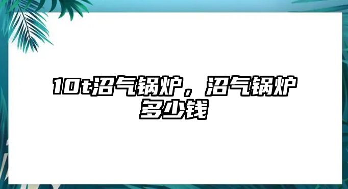 10t沼氣鍋爐，沼氣鍋爐多少錢