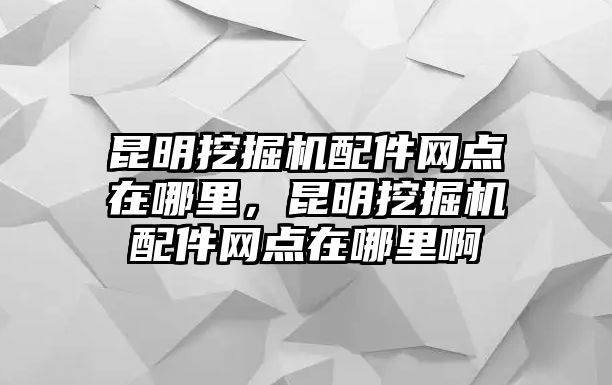 昆明挖掘機(jī)配件網(wǎng)點(diǎn)在哪里，昆明挖掘機(jī)配件網(wǎng)點(diǎn)在哪里啊