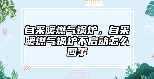 自采暖燃?xì)忮仩t，自采暖燃?xì)忮仩t不啟動怎么回事