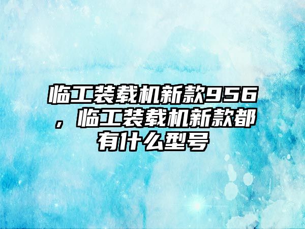 臨工裝載機新款956，臨工裝載機新款都有什么型號