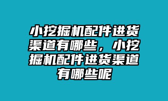 小挖掘機(jī)配件進(jìn)貨渠道有哪些，小挖掘機(jī)配件進(jìn)貨渠道有哪些呢