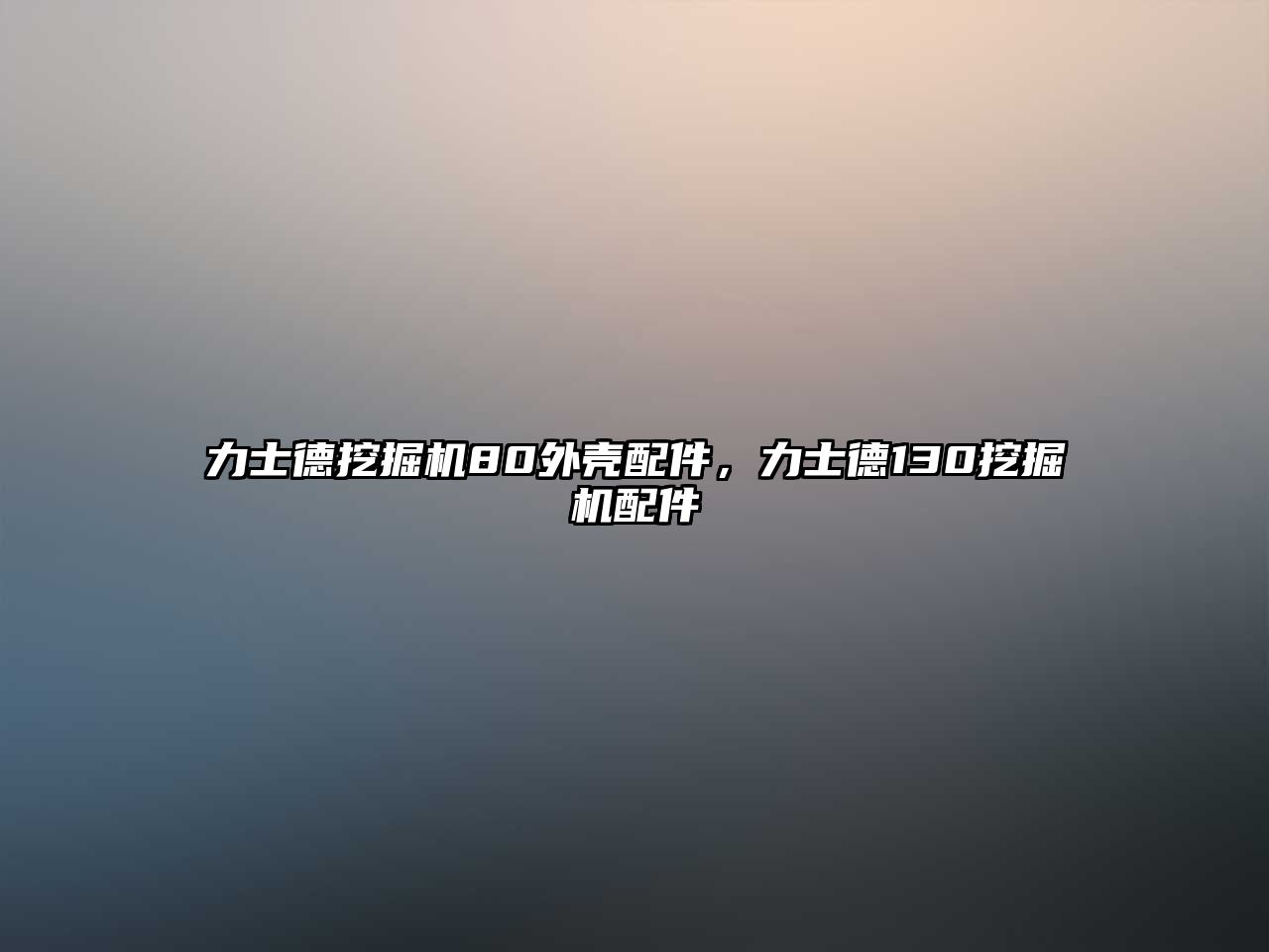 力士德挖掘機(jī)80外殼配件，力士德130挖掘機(jī)配件