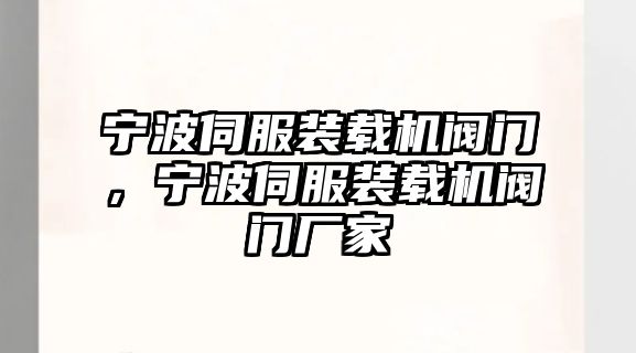 寧波伺服裝載機閥門，寧波伺服裝載機閥門廠家