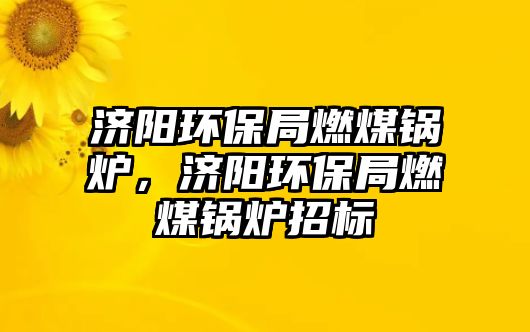 濟陽環(huán)保局燃煤鍋爐，濟陽環(huán)保局燃煤鍋爐招標