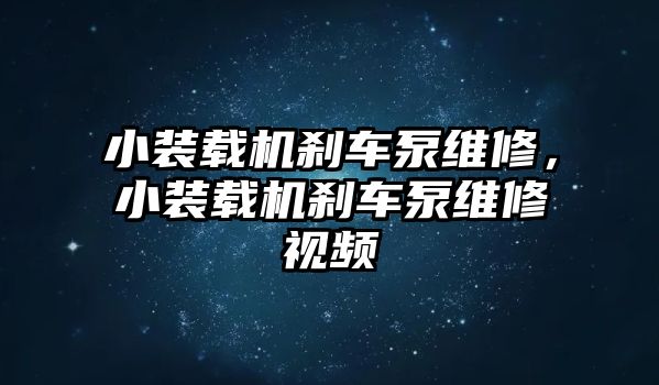 小裝載機(jī)剎車泵維修，小裝載機(jī)剎車泵維修視頻