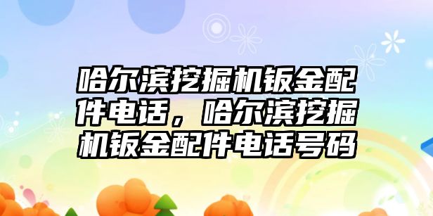 哈爾濱挖掘機鈑金配件電話，哈爾濱挖掘機鈑金配件電話號碼