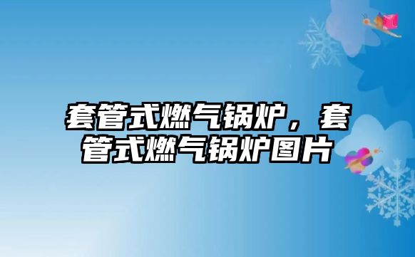 套管式燃氣鍋爐，套管式燃氣鍋爐圖片