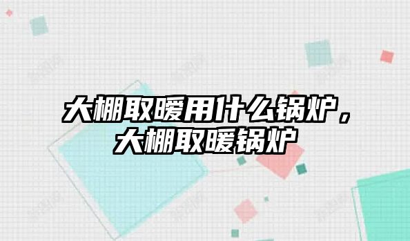 大棚取曖用什么鍋爐，大棚取暖鍋爐