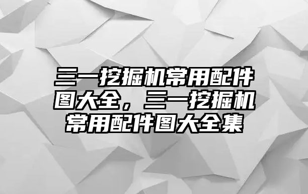 三一挖掘機常用配件圖大全，三一挖掘機常用配件圖大全集