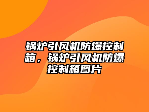 鍋爐引風(fēng)機(jī)防爆控制箱，鍋爐引風(fēng)機(jī)防爆控制箱圖片