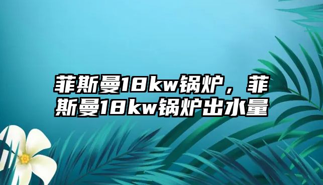 菲斯曼18kw鍋爐，菲斯曼18kw鍋爐出水量