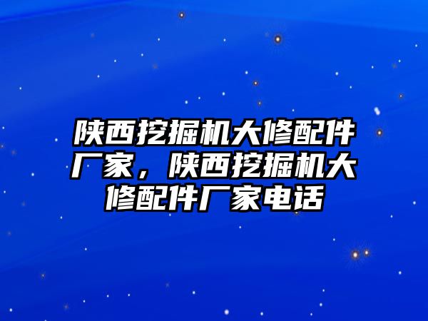 陜西挖掘機大修配件廠家，陜西挖掘機大修配件廠家電話