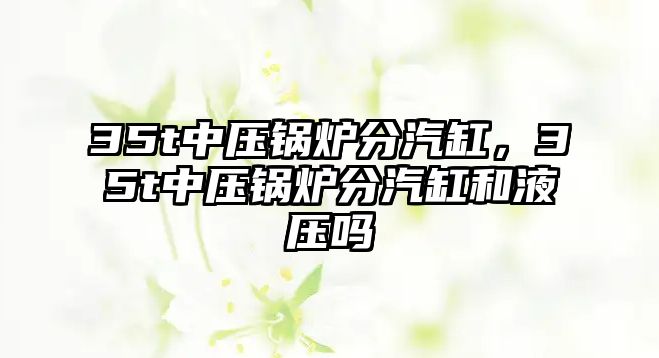 35t中壓鍋爐分汽缸，35t中壓鍋爐分汽缸和液壓嗎