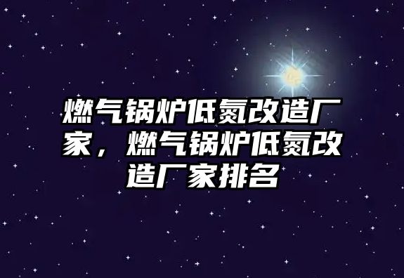 燃?xì)忮仩t低氮改造廠家，燃?xì)忮仩t低氮改造廠家排名