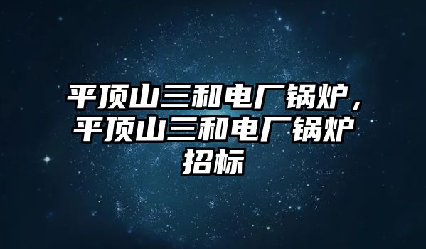 平頂山三和電廠鍋爐，平頂山三和電廠鍋爐招標