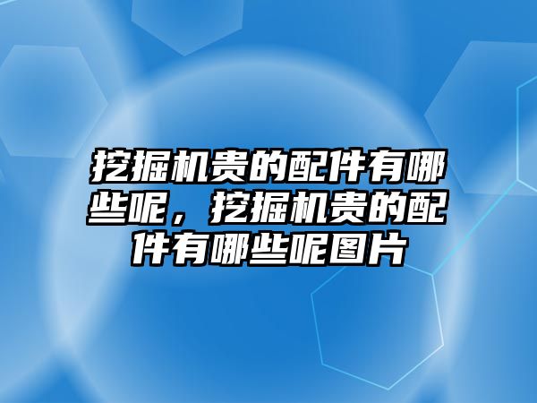 挖掘機(jī)貴的配件有哪些呢，挖掘機(jī)貴的配件有哪些呢圖片