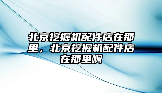 北京挖掘機配件店在那里，北京挖掘機配件店在那里啊