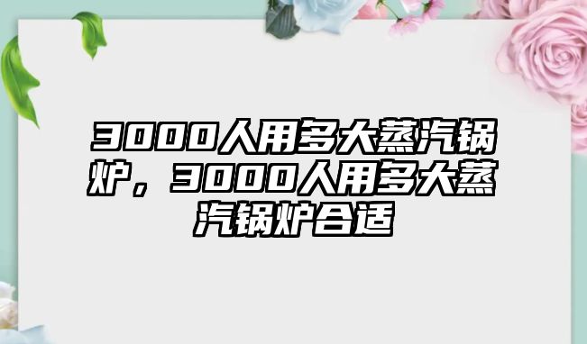 3000人用多大蒸汽鍋爐，3000人用多大蒸汽鍋爐合適