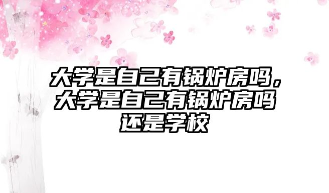 大學(xué)是自己有鍋爐房嗎，大學(xué)是自己有鍋爐房嗎還是學(xué)校