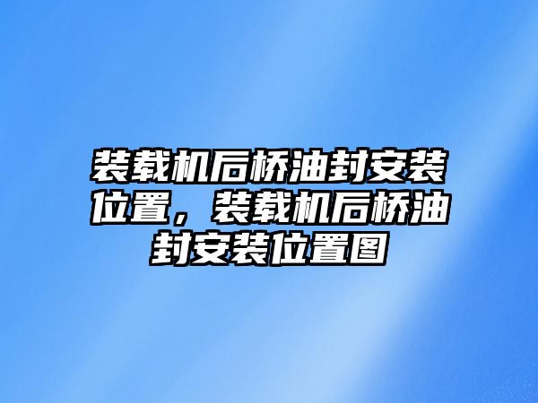 裝載機(jī)后橋油封安裝位置，裝載機(jī)后橋油封安裝位置圖