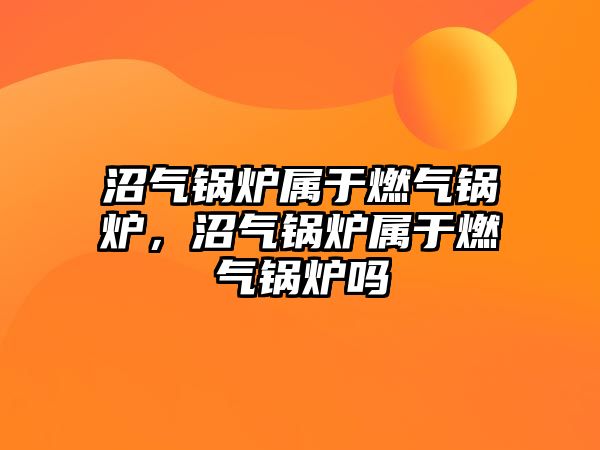 沼氣鍋爐屬于燃氣鍋爐，沼氣鍋爐屬于燃氣鍋爐嗎