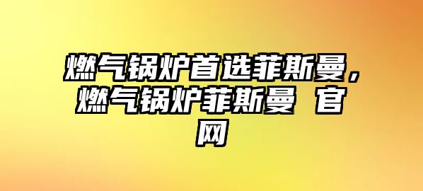 燃?xì)忮仩t首選菲斯曼，燃?xì)忮仩t菲斯曼 官網(wǎng)