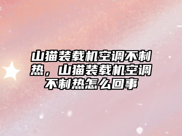 山貓裝載機空調(diào)不制熱，山貓裝載機空調(diào)不制熱怎么回事