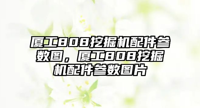 廈工808挖掘機(jī)配件參數(shù)圖，廈工808挖掘機(jī)配件參數(shù)圖片